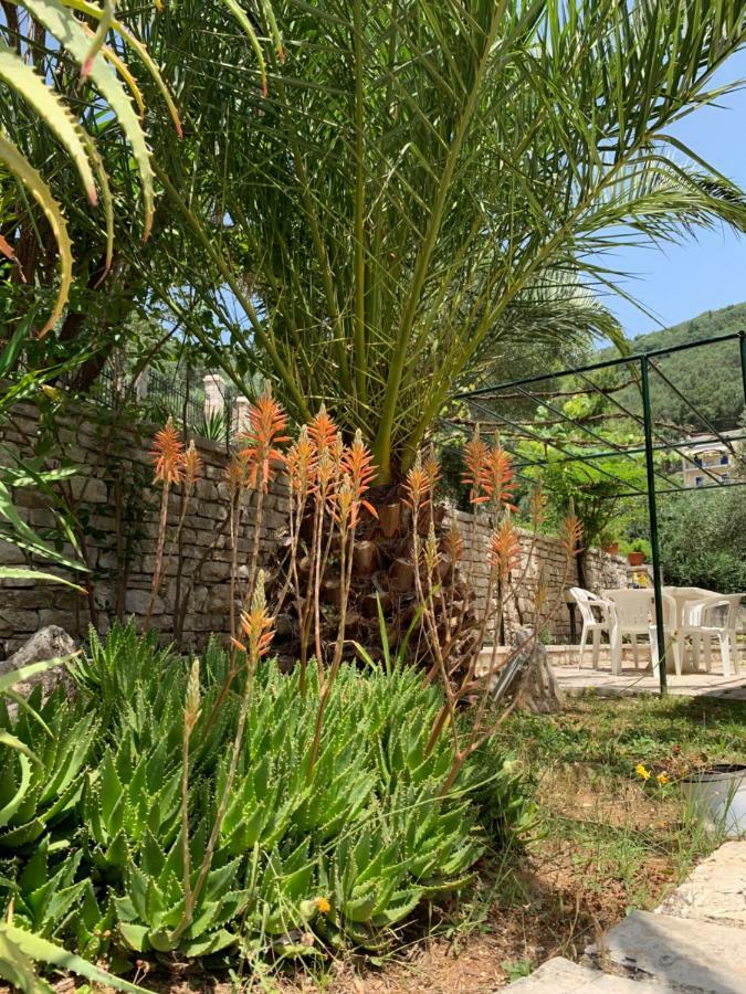 Silent Bay Apartments Katavolos ภายนอก รูปภาพ